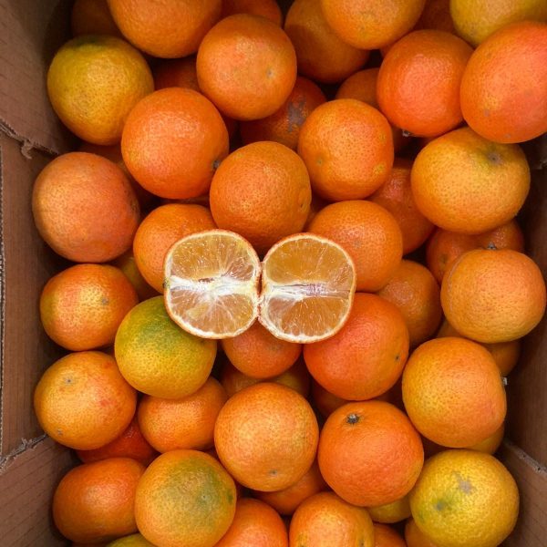 Oranges